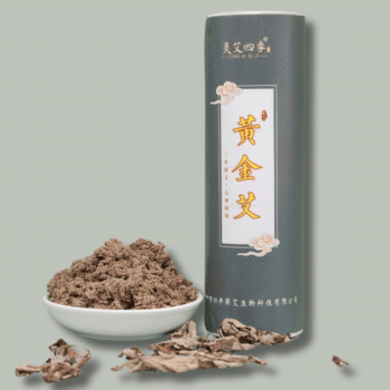 Tubo di moxa d’oro con artemisia argyl selvatica
